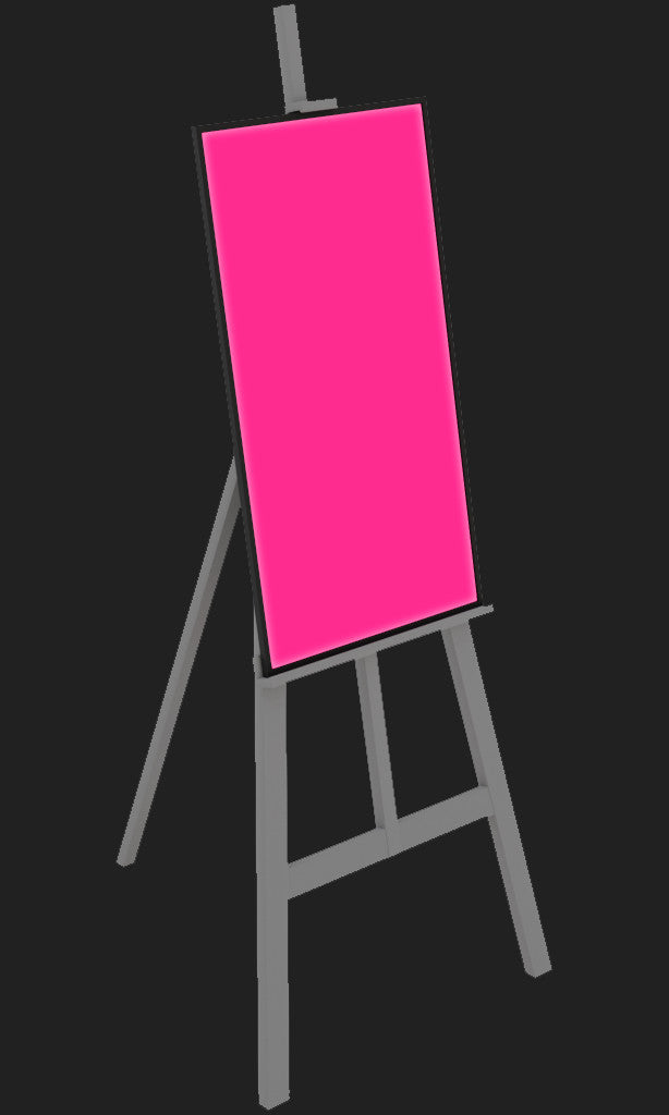Easel & Spark5 - 1 day rental